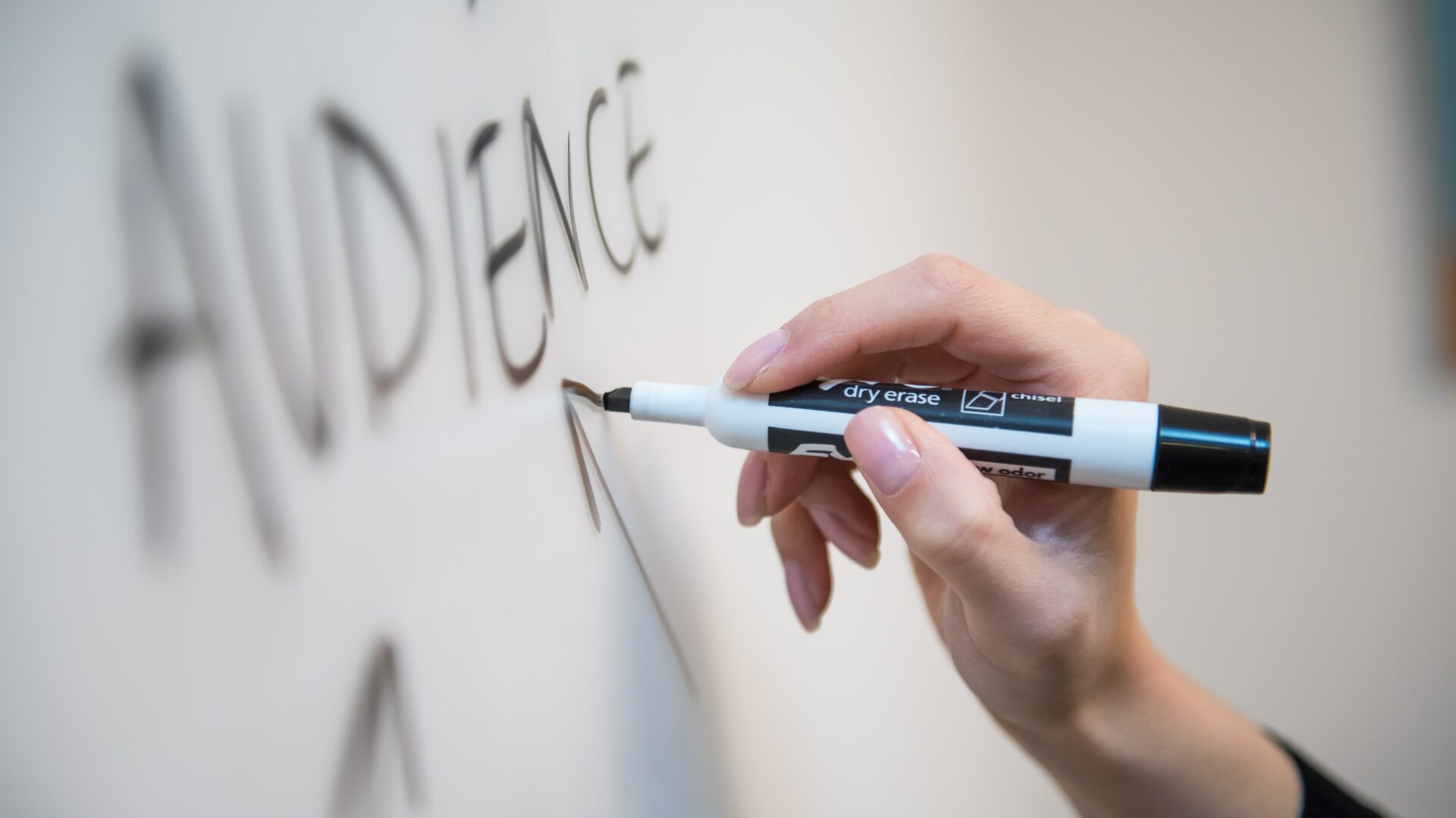 real estate agent writing the word "audience" on a white board trying to map out a marketing strategy to target the right audience at the right time